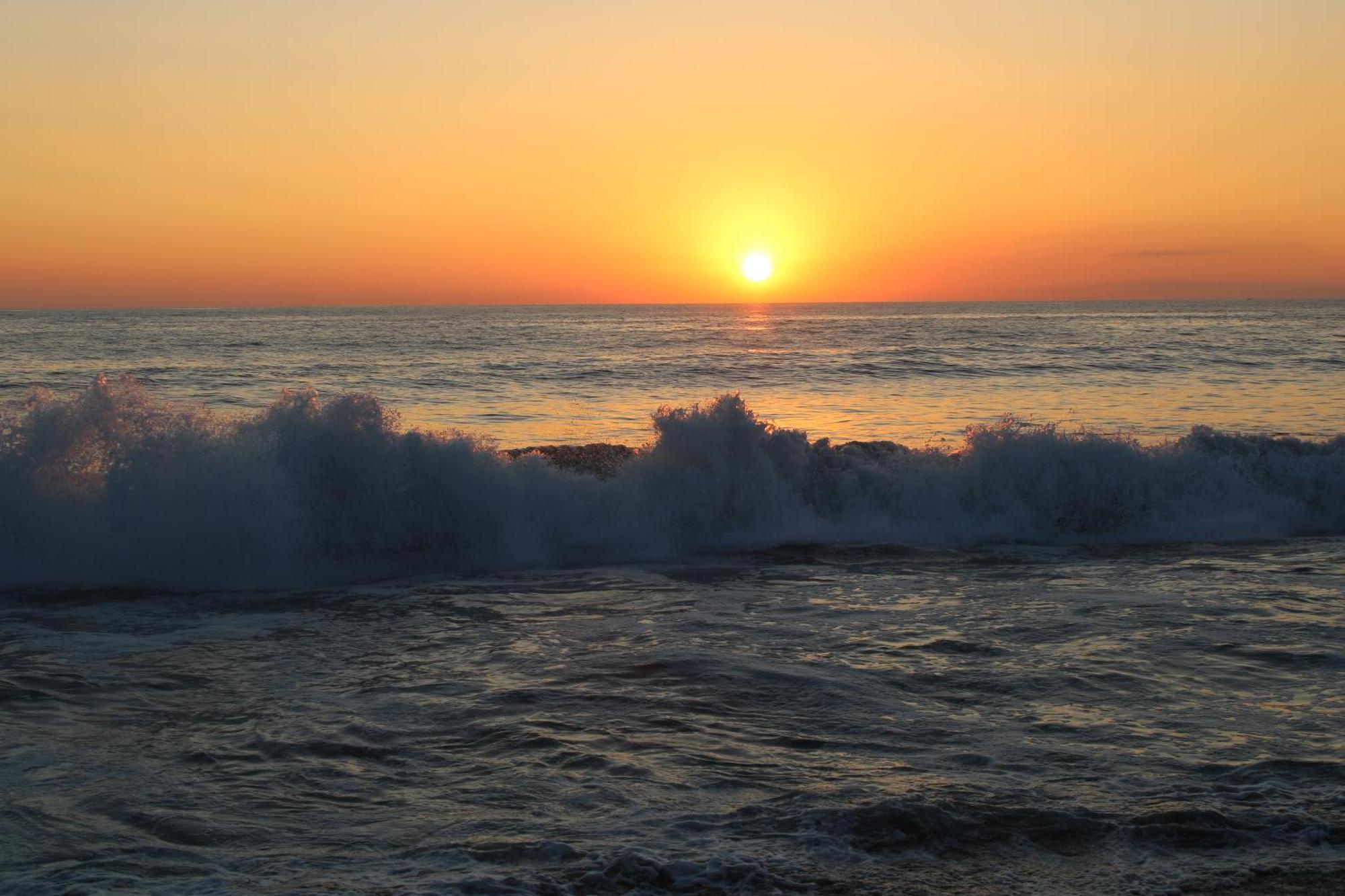 فندق Surf Paradise Zicatela بويرتو إسكونديدو المظهر الخارجي الصورة